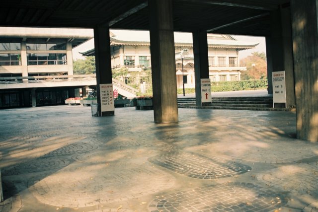 Photograph