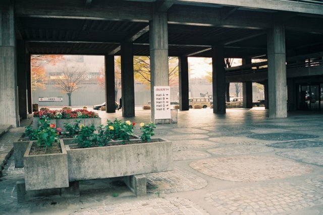 Photograph