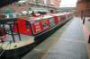 d20080822n_0223_small.jpg