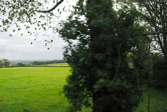 d20080820k_0017.jpg