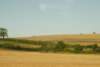 d20080823k_0023_small.jpg