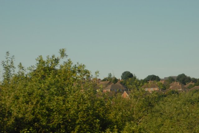 d20080823k_0036.jpg