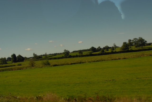 d20080823k_0040.jpg