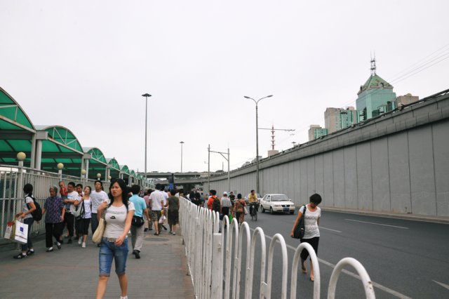 d090828k_0537.jpg