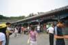 d090829k_0042_small.jpg