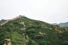 d090829k_0103_small.jpg