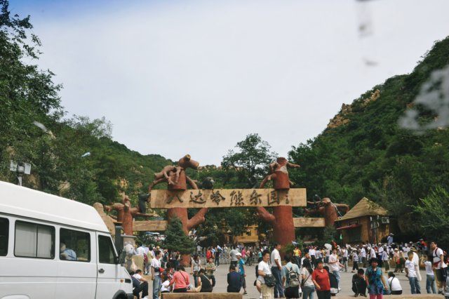 d090829k_0209.jpg