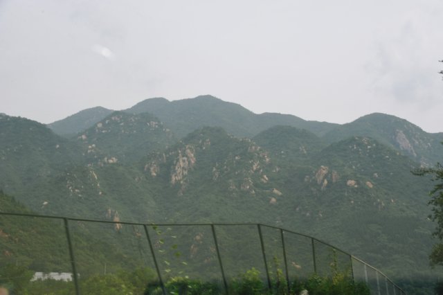 d090829k_0213.jpg