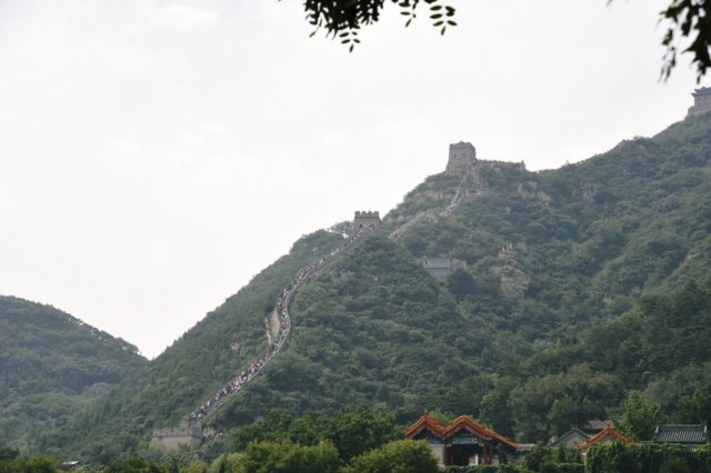 d090829k_0217.jpg