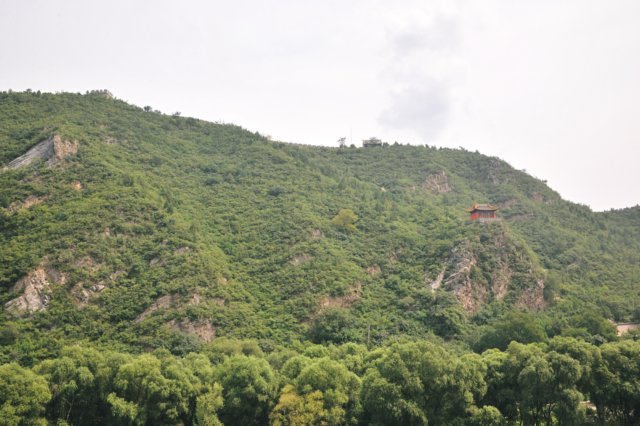 d090829k_0219.jpg