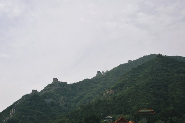 d090829k_0228.jpg