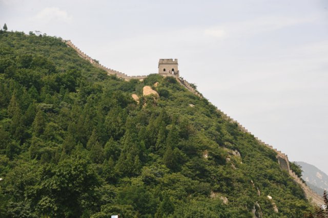 d090829k_0229.jpg