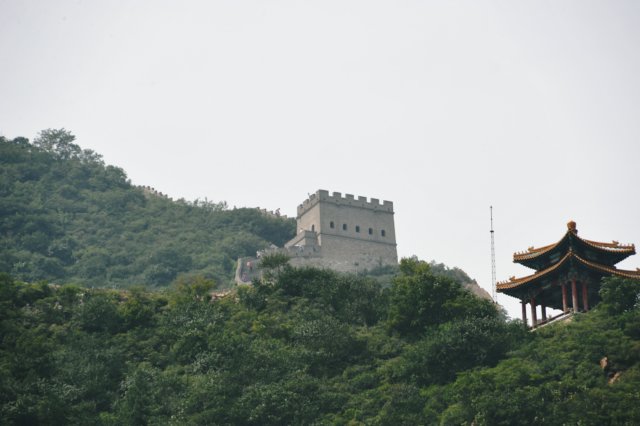d090829k_0231.jpg