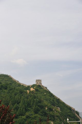 d090829k_0235.jpg