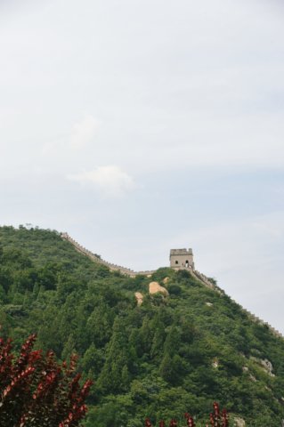 d090829k_0237.jpg