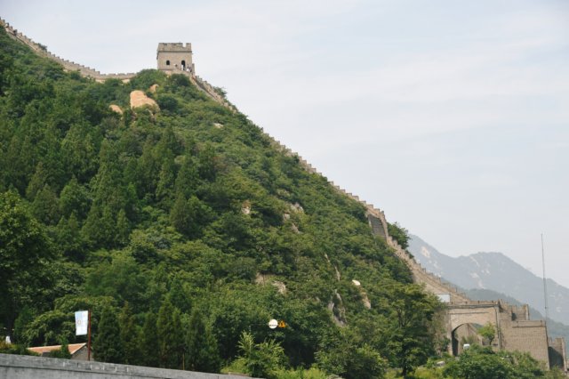 d090829k_0238.jpg