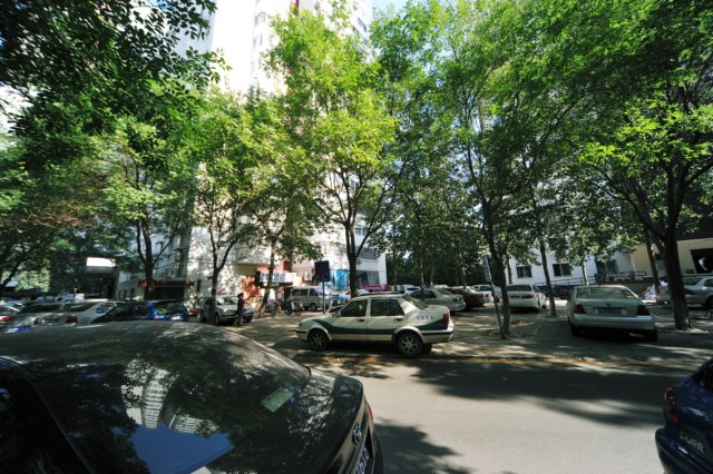 d090829k_0264.jpg