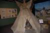 dsc_0671_small.jpg