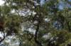 dsc_1339_small.jpg