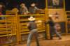dsc_1939_small.jpg