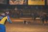 dsc_1978_small.jpg