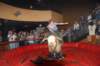 dsc_2010_small.jpg