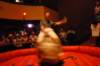 dsc_2019_small.jpg