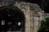 dsc_2237_small.jpg