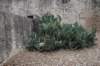 dsc_2249_small.jpg