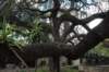 dsc_2250_small.jpg