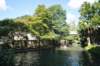 d2010_100912_0022_small.jpg