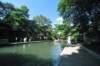 d2010_100912_0028_small.jpg