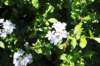d2010_100915k_0265_small.jpg