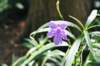 d2010_100915k_0266_small.jpg