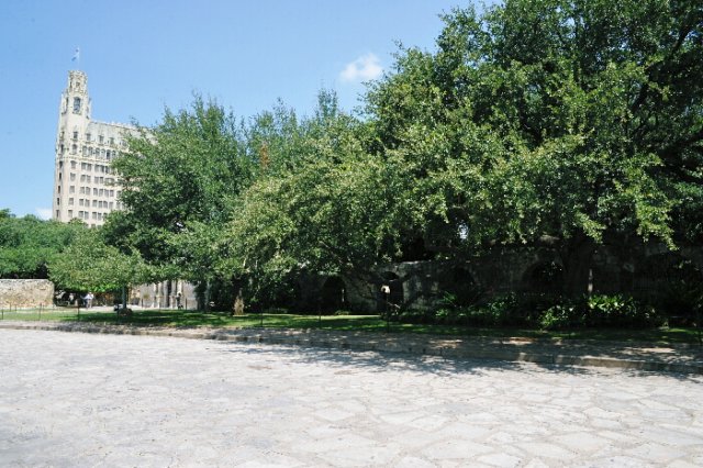 d2010_100915k_0287.jpg