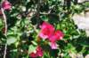 d2010_100915k_0306_small.jpg