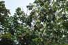 d2010_100915k_0323_small.jpg