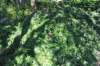d2010_100915k_0341_small.jpg