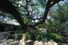 d2010_100915k_0346_small.jpg