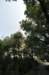 d2010_100915k_0356_small.jpg
