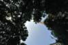 d2010_100915k_0357_small.jpg