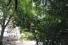 d2010_100915k_0359_small.jpg