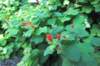 d2010_100915k_0372_small.jpg