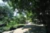d2010_100915k_0376_small.jpg