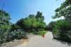 d2010_100915k_0383_small.jpg