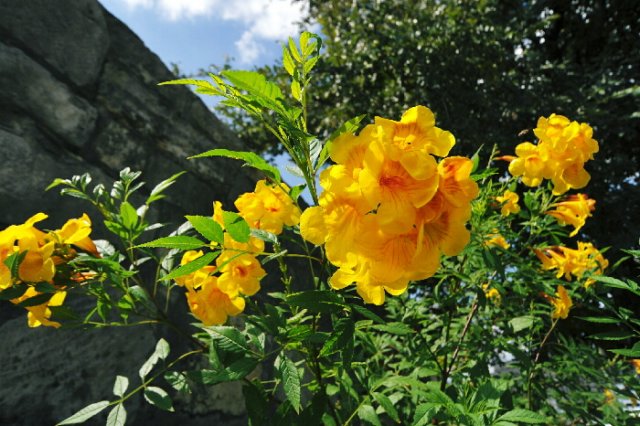 d2010_100915k_0416.jpg
