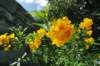 d2010_100915k_0416_small.jpg