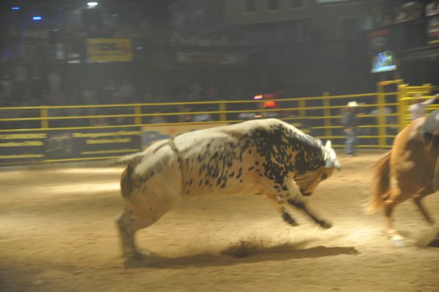d2010_100916k_0489.jpg