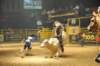 d2010_100916k_0530_small.jpg