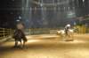 d2010_100916k_0538_small.jpg